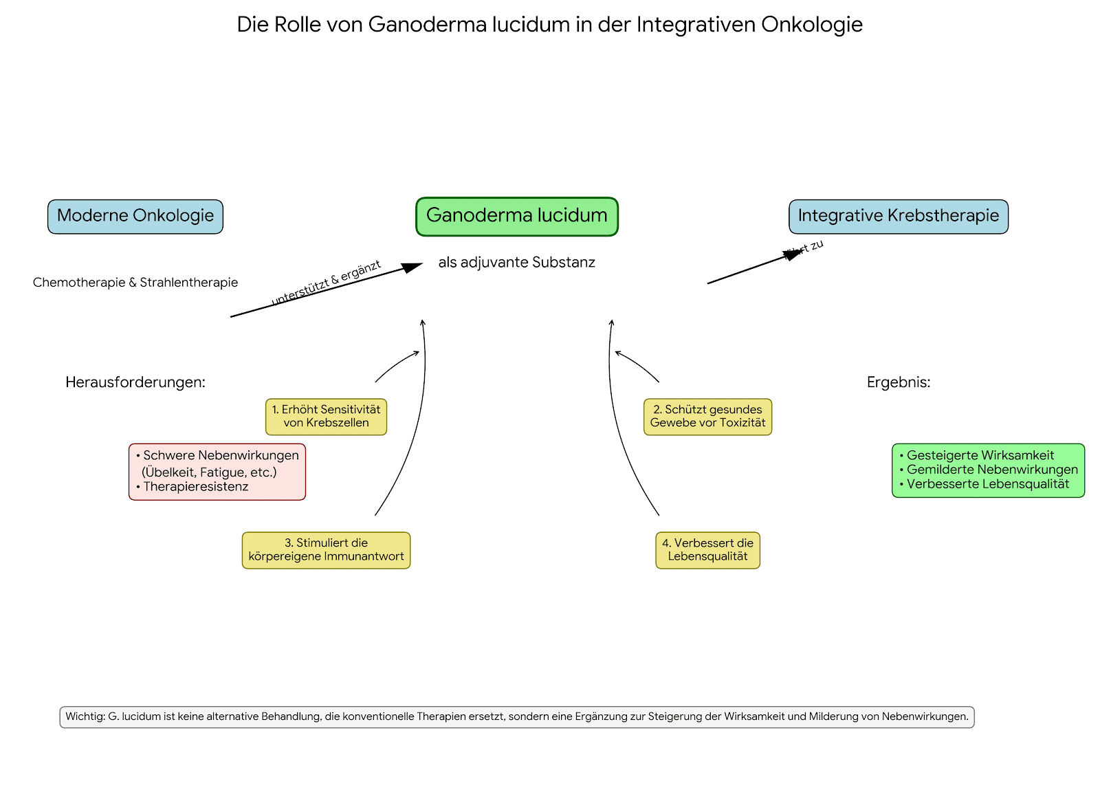 Reishi als evidenzbasierte Adjuvanz in der modernen Onkologie
