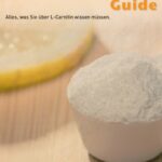 Der L-Carnitin Guide