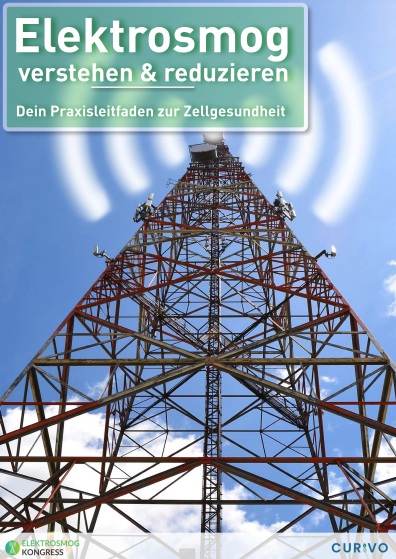 Elektrosmog verstehen und reduzieren - Cover